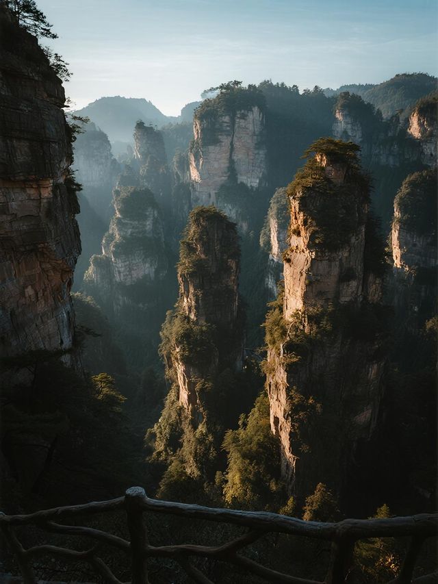 張家界親子遊新思路！中午反向乘百龍天梯，居然全程VIP通道
