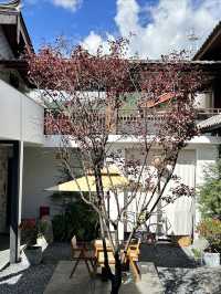 住進藝術空間!束河這家民宿讓我重新定義旅行