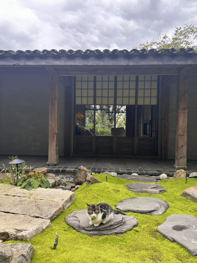 青城山絕版中式院落民宿