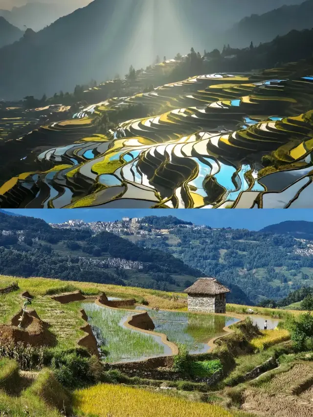 Yuanyang Terraces Complete Travel Guide｜Step into a Fairyland and See the Most Beautiful Curves on Earth