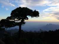 三清山林日落賞景攻略🌄