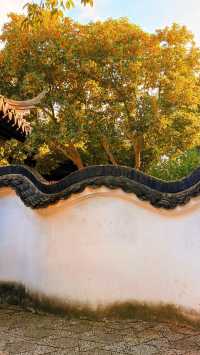 蘇州的秋天|在怡園的桂花香裡,撞見江南最溫柔的時刻