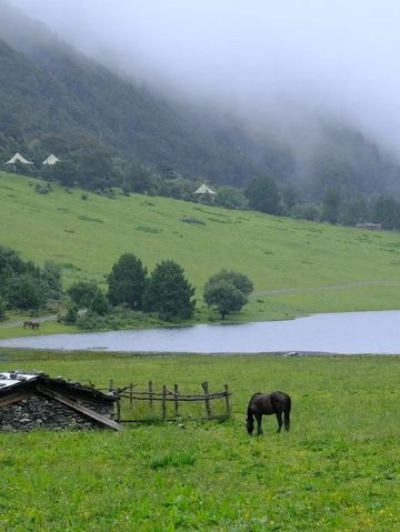 香格里拉1日包車遊玩遍精華點 香格里拉1日包車遊玩遍精華點
