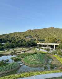 金灣木頭沖|走進童話世界