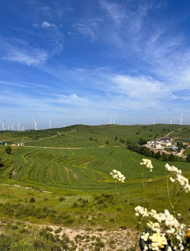 草原天路中段景色美極了,適合自駕遊 草原天路中段景色美極了,適合自駕遊