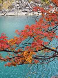 11月松坪溝美到窒息！彩林映碧水，一天才花130元！