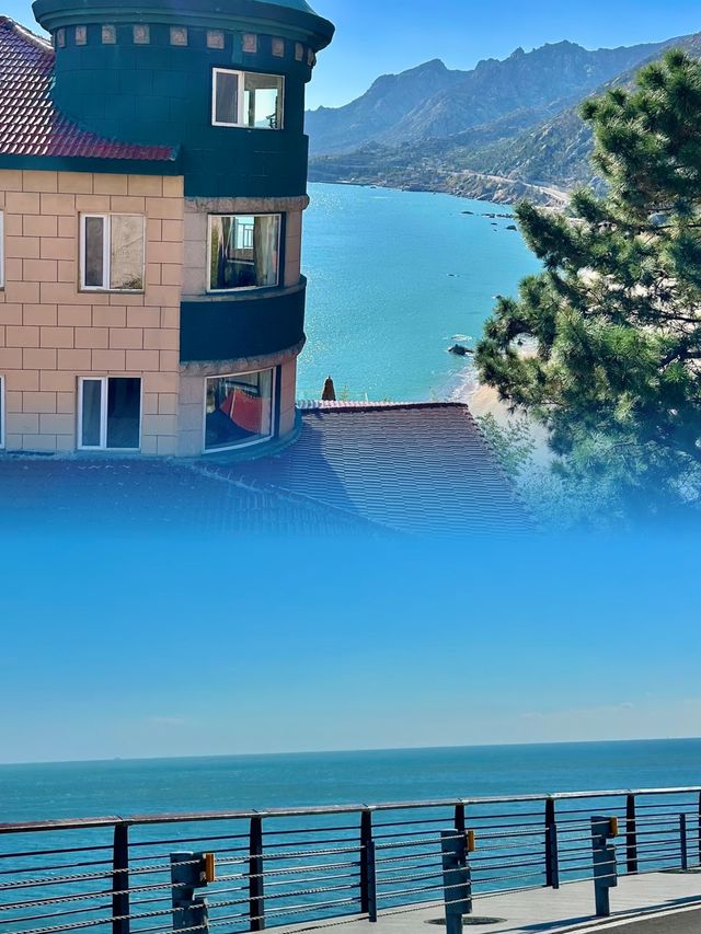 青島1元環海公交yyds！沿途海景美翻天