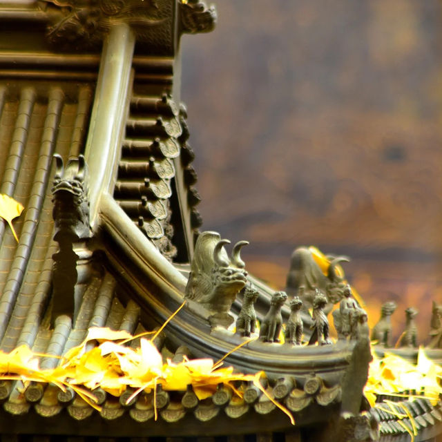 🍁 가을이 가장 아름다운 사찰, 대비사에서 찾은 고요함 🍁 가을이 가장 아름다운 사찰, 대비사에서 찾은 고요함