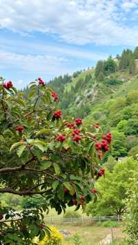 密雲小眾紅葉秘境人少景美還免費！