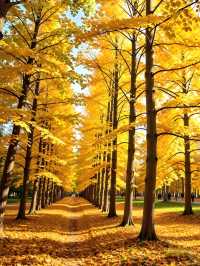 天水古城｜這座被低估的絲路遺珠藏了多少驚喜！