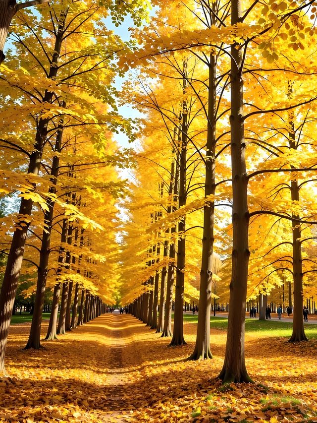 天水古城｜這座被低估的絲路遺珠藏了多少驚喜！