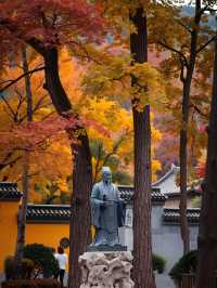 秋日限定｜雲平山私藏童話秘境小眾到喊！