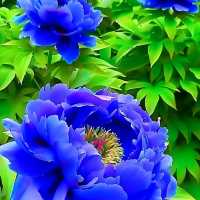 山東荷澤歡迎您