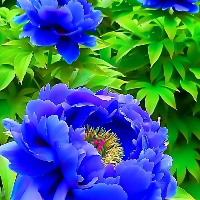 山東荷澤歡迎您