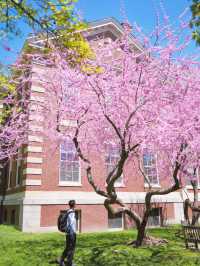 像故事的開頭，又想電影的結尾，美國攻略來了