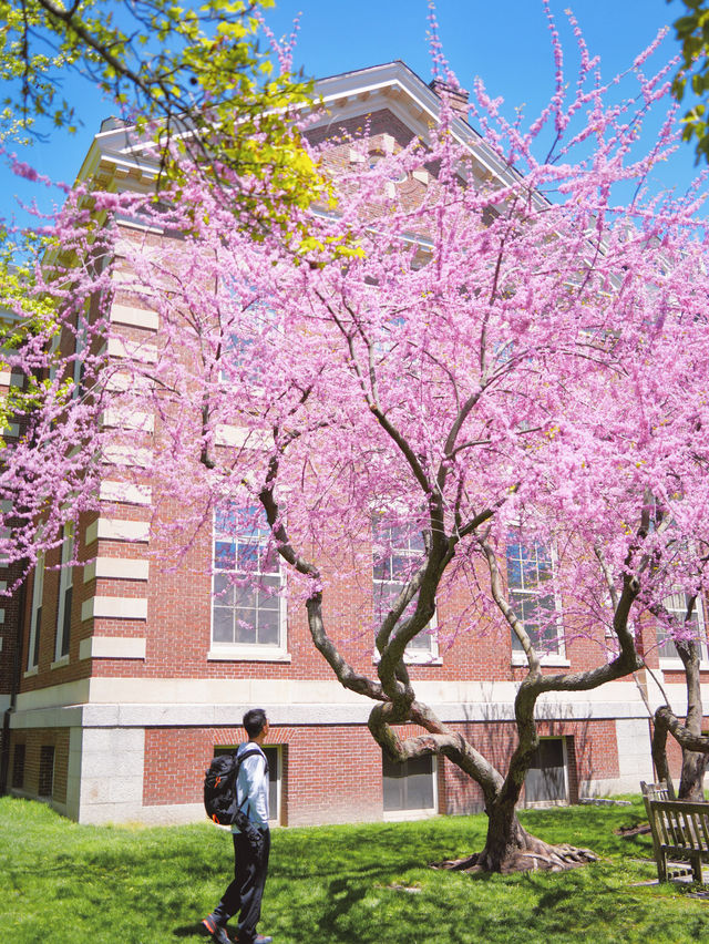 像故事的開頭，又想電影的結尾，美國攻略來了