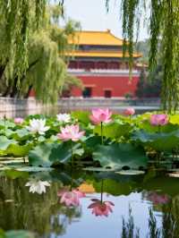 燕雀湖：南京秋日水上仙境