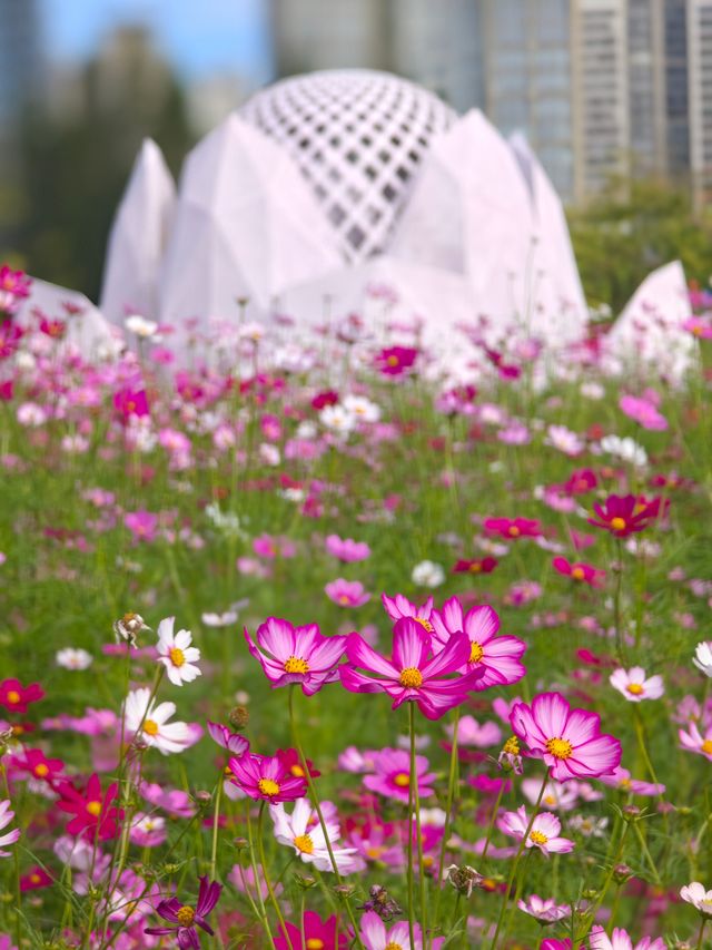 二沙島園林展暴走攻略 二沙島園林展暴走攻略