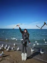 冬季青海湖美哭了..