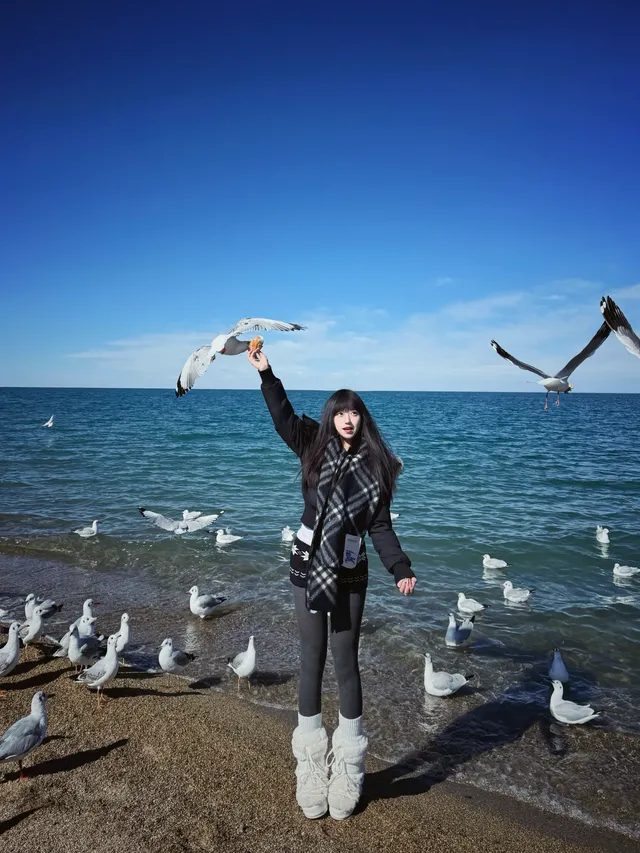 冬季青海湖美哭了.. 冬季青海湖美哭了..