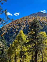 四川黨嶺徒步7日全記錄，秘境穿越指南