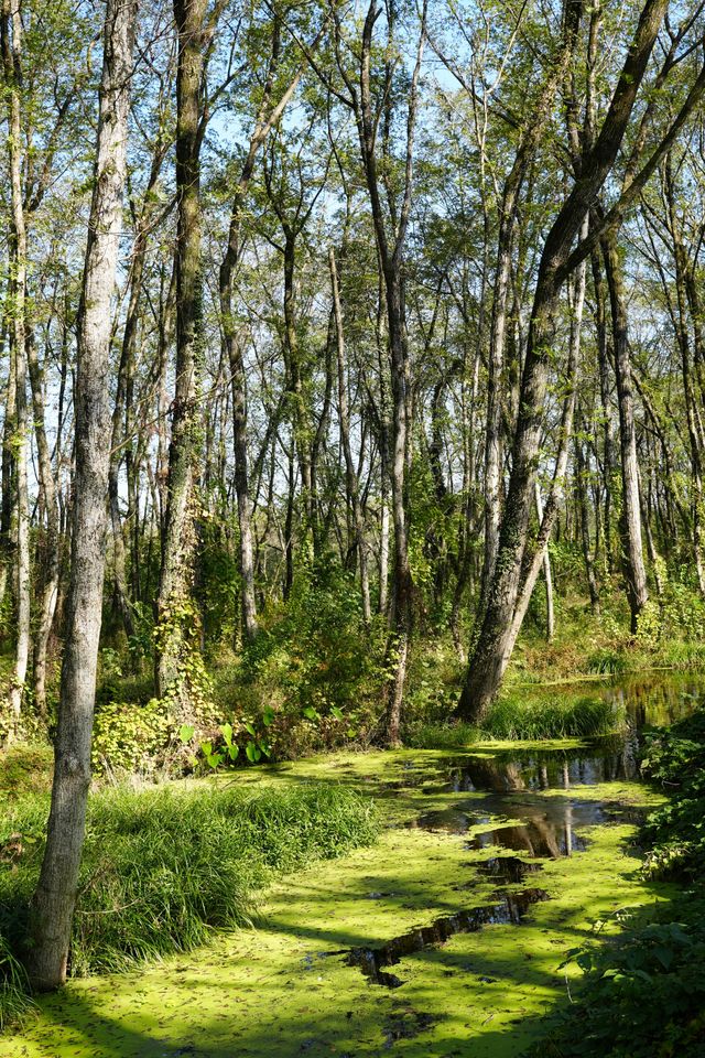 不擠的皖南才香：謎窟+古村的閒庭驚喜