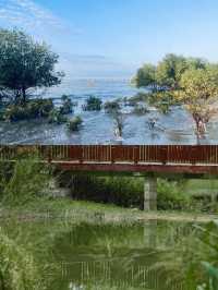 被國家地理點名!惠州大亞灣的“翡翠綠心”有多絕?