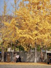 留住秋天的一百種方式