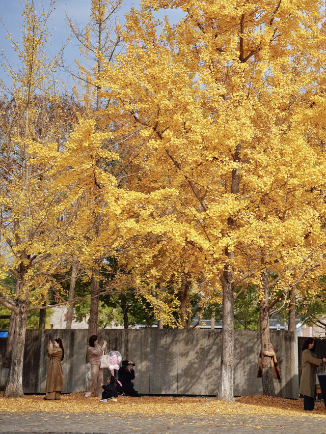 留住秋天的一百種方式