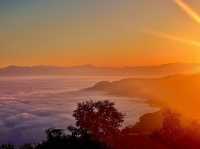 景邁山年度最佳雲海日出觀賞季