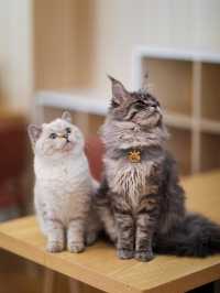 天目湖涵田，全家嗨玩不挪窩！