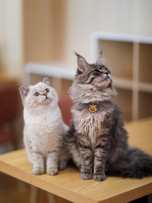 天目湖涵田，全家嗨玩不挪窩！