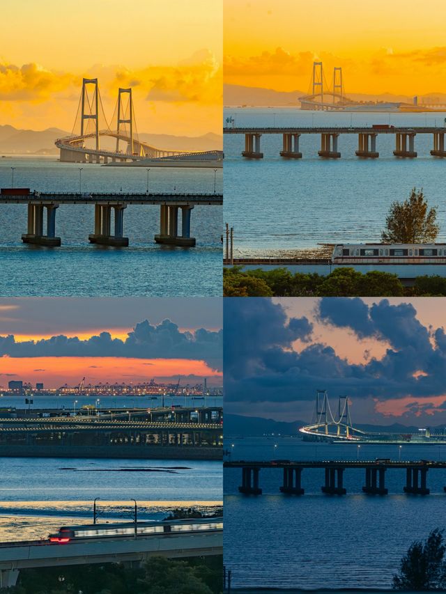 深圳這裡也太美了吧！！