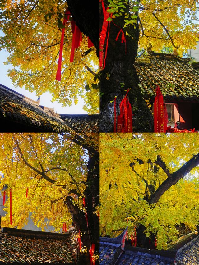 廣漢3日深度遊攻略探源古蜀+溫泉+美食,高鐵18min直達 廣漢3日深度遊攻略探源古蜀+溫泉+美食,高鐵18min直達