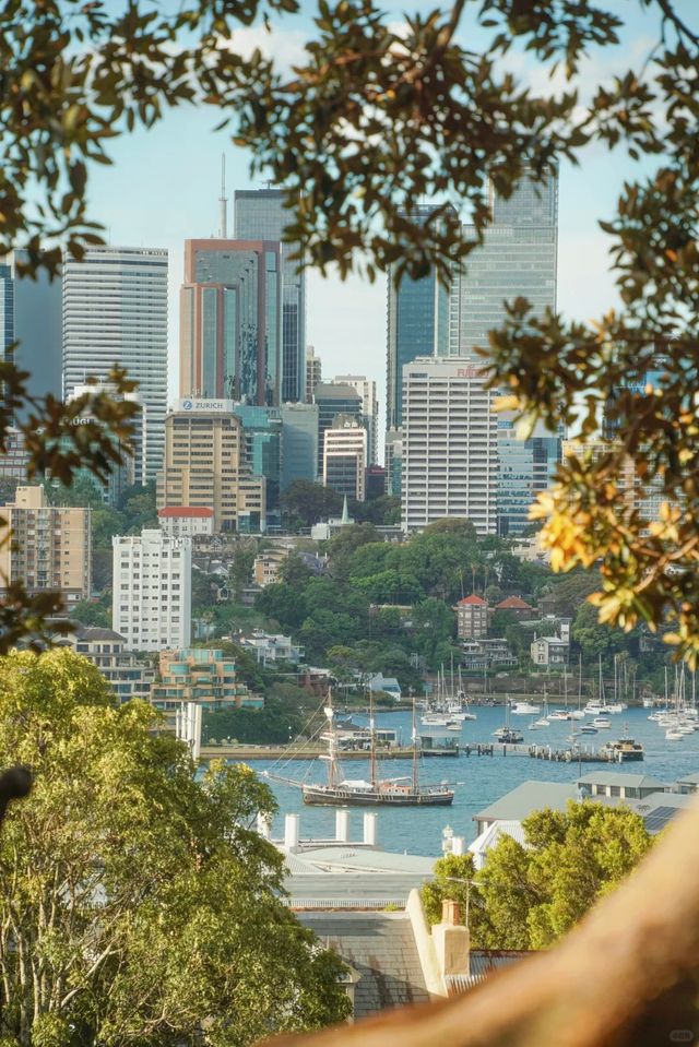 答應我！這輩子一定要在悉尼暴走一天！