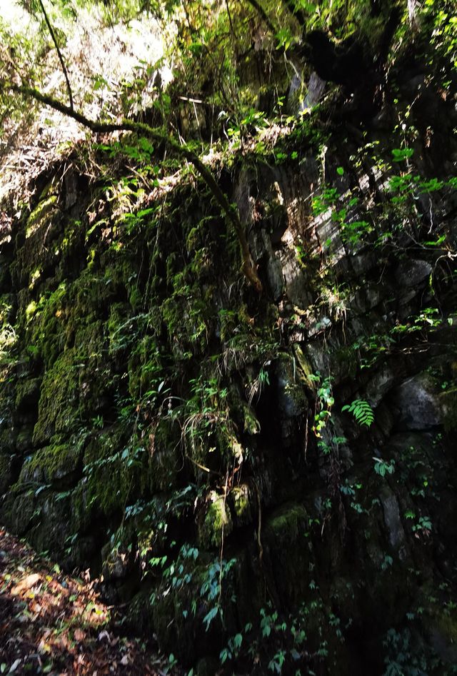 騰衝寶藏青旅！在貝雷帽青旅，我找到了旅行的意義！  這次騰衝之行，最正確的決定就是入住了貝雷帽青旅！
