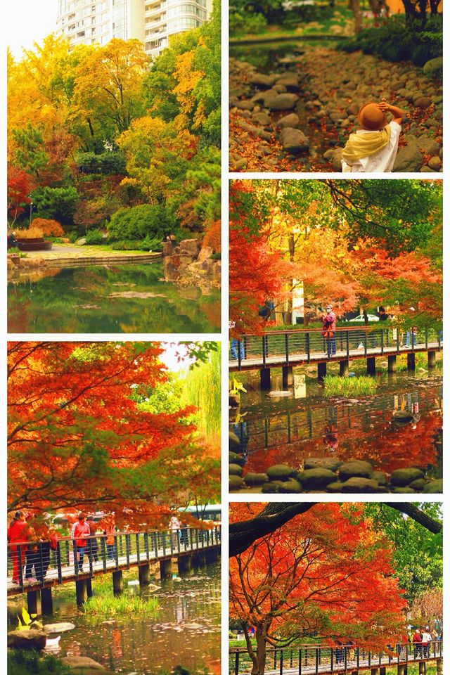 上海小京都這片楓葉階梯美到窒息!人少速來! 上海小京都這片楓葉階梯美到窒息!人少速來!