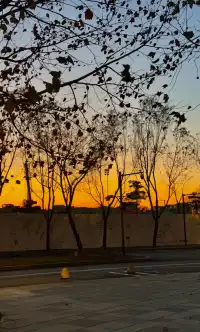 阿那亞童話月精簡攻略2025.11.28-2026.1.3