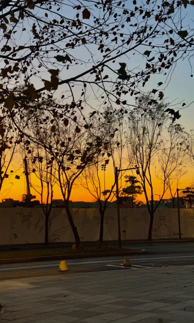 阿那亞童話月精簡攻略2025.11.28-2026.1.3 阿那亞童話月精簡攻略2025.11.28-2026.1.3