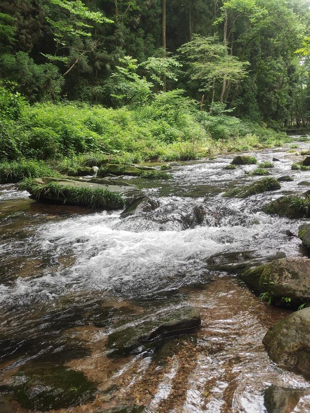 這才是張家界避暑天花板!金鞭溪徒步攻略來了 這才是張家界避暑天花板!金鞭溪徒步攻略來了