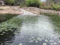 這才是張家界避暑天花板!金鞭溪徒步攻略來了