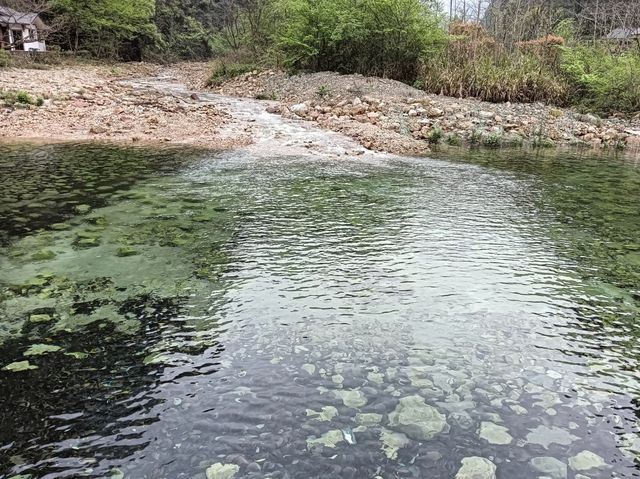 這才是張家界避暑天花板!金鞭溪徒步攻略來了 這才是張家界避暑天花板!金鞭溪徒步攻略來了