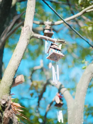 If you're happy and you know it, take a picture! Kunming's fairytale wilderness for great photos