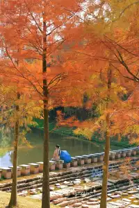 18圖帶你看深圳秋冬限定美景