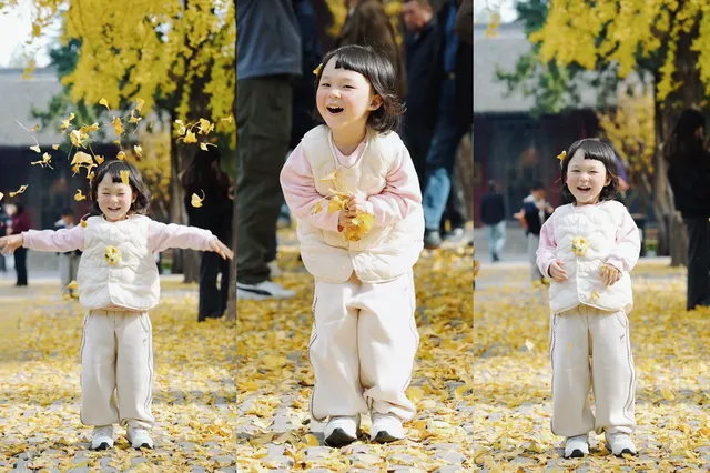 洛陽一日遊精華|暴走3大景點,雖累但值! 洛陽一日遊精華|暴走3大景點,雖累但值!