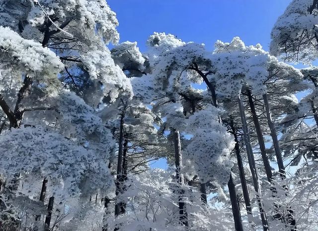 雲海仙境暴走指南黃山1日遊保姆級攻略! 地址:安徽省黃山市黃山區205國道 必去理由 五嶽 雲海仙境暴走指南黃山1日遊保姆級攻略! 地址:安徽省黃山市黃山區205國道 必去理由 五嶽