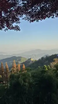 莫干山紅葉進度