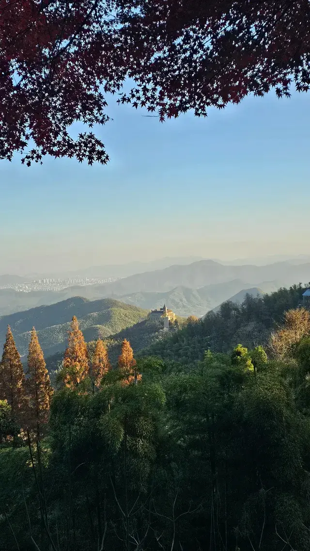 莫干山紅葉進度