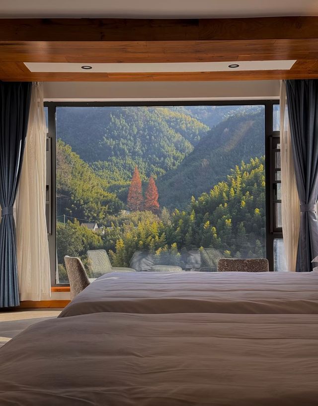 安吉這家神仙民宿太絕了！推窗就是整片竹海