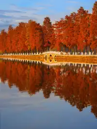 12.3的東湖殺瘋了!分享一條油畫感騎行路線